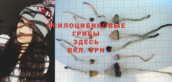стафф Мегион