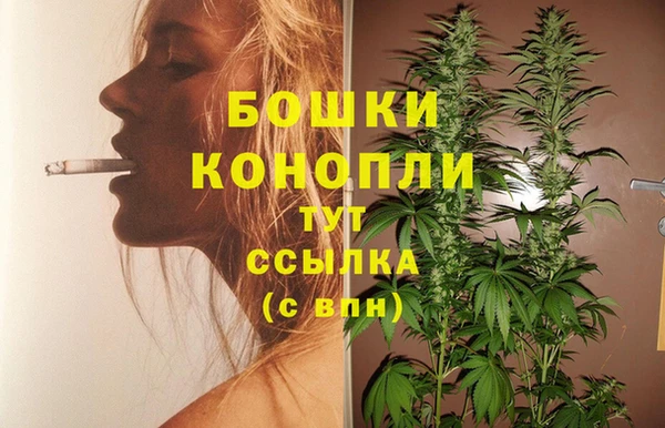 стафф Мегион