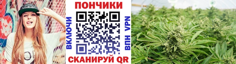 Шишки марихуана индика  мега как войти  Ядрин  магазин продажи наркотиков 